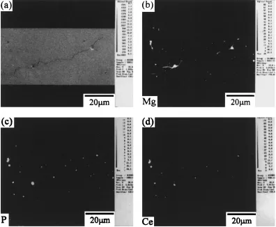 Fig. 13(a) Crack path (SEM image); (b) magnesium rich crack initiation site and propagation path; (c) phosphorus concentration elementand (d) cerium concentration.