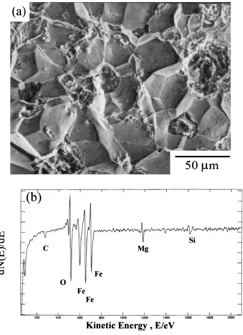 Fig. 14(a) The fracture surface of the specimen cyclic heating at 1023 Kand fractured by impact at about 223 K (SEM image), and (b) SAMspectrum on the ﬂat-grain boundary.