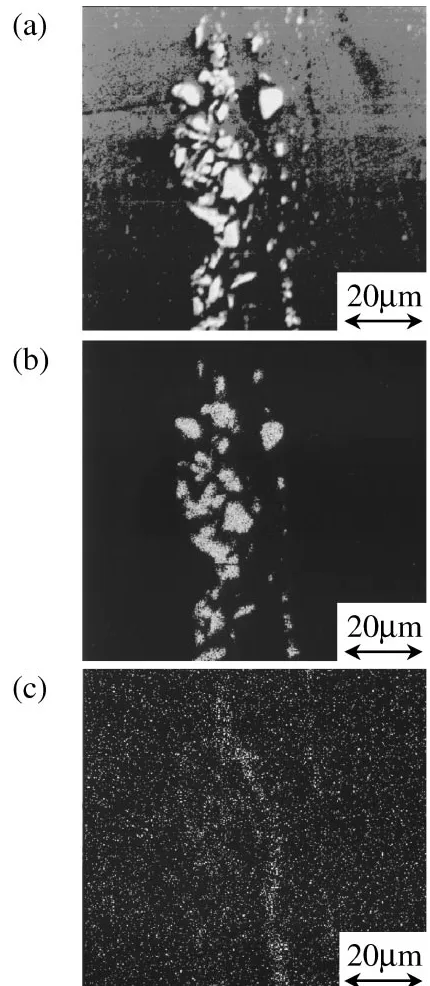 Table 1The chemical composition of representative small quantityelements in 5083 aluminum alloy for the solid recycled specimen andthe virgin extruded specimen.