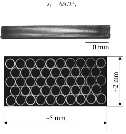 Fig. 1Geometry of honeycomb specimens used in the experiments.