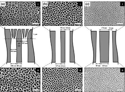 Figure 3.1: Commercially available AAO membrane pore structure. SEM micrographs of both surfaces along with the schematics of the pore structure for (a) Whatman 200 nm AAO membrane, (b) Synkera 150 nm AAO membrane, and (c) Synkera 100 nm AAO membrane (Scal