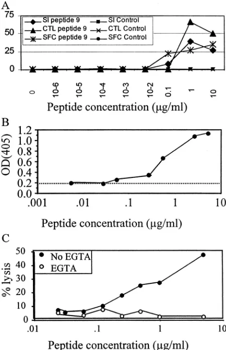 FIG. 7. (A) Dependence of proliferative, cytolytic, and IFN-�corresponding to greater granule secretion