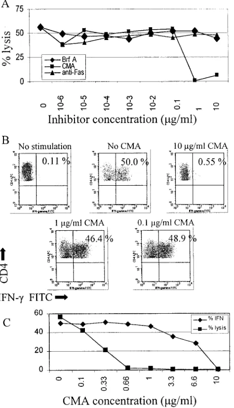 FIG. 8. (A) Effects of concanamycin A, brefeldin A, and anti-Fasantibody on cytolytic activity of the clone from subject CTS-01