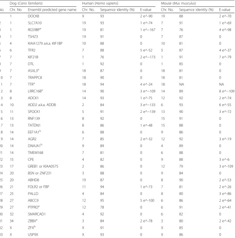 Table 2 Canine genes with exonic single nucleotide variants and percentage homology with human and mouse orthologues