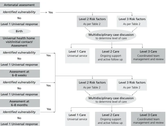 Figure 1 outlines this model and the pathways for primary  health staff to determine vulnerability, the level of  service delivery/care required, and to provide for ongoing  coordinated care