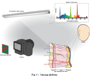 Fig. 4 –  Sensing platform. 