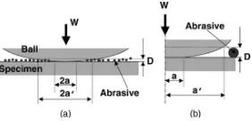 Figure 6:  Schematic model showing (a) the interaction 