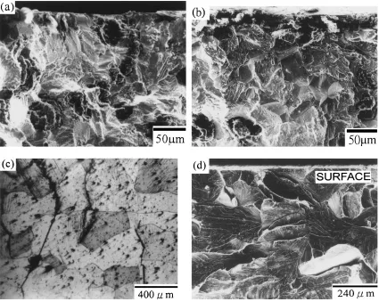 Fig. 11Fractograph of the SG 2027 specimens tested in: (a) air, (b) aqueous, (c) slip bands and transgranular cracks of Fe–3Si specimenand (d) Fe–3Si specimen tested in an aqueous environment.