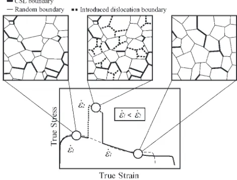 Fig. 12Demonstration of the improvement in superplasticity by a strainrate change test at 723 K.