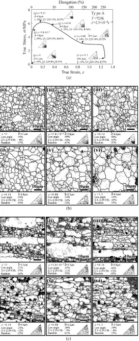 Fig. 6(a) The true stress-true strain curves for the Type A specimen at 723 K at 2:5 � 10�4 s�1