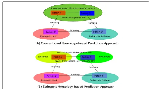 Figure 1 Representation of homology-based prediction approach. Representation of (A) the conventional homology-based predictionapproach and (B) the stringent homology-based prediction approach adopted in this study.