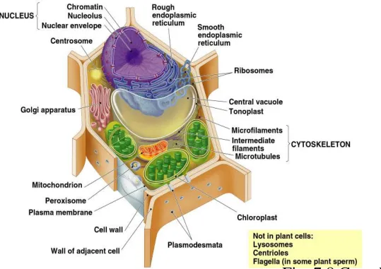 Fig. 7.8 Campbell 
