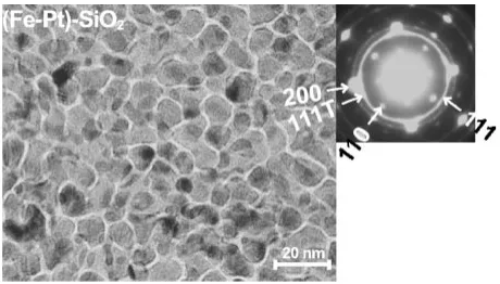 Fig. 12TEM image of (Fe–Pt)–SiO2 layer of double-layered medium.