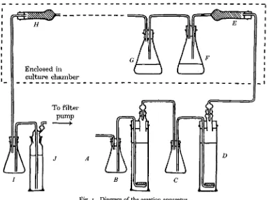 Fig. 1. Diagram of the aeration apparatus.