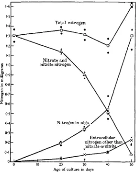 Fig. 2. The changes occurring in cultures of Anabaena cylindrica ina medium containing nitrate.