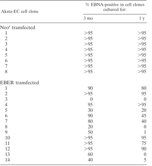 TABLE 1. Percentage of EBNA-positive cells in Neor- andEBER-transfected Akata-EC cell clonesa
