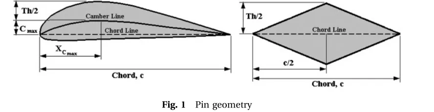 Fig. 1Pin geometry