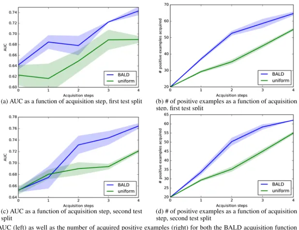 Figure 5. AUC (left) as well as the number of acquired positive examples (right) for both the BALD acquisition function as well as uniform acquisition function, on ISIC 2016 melanoma diagnosis dataset