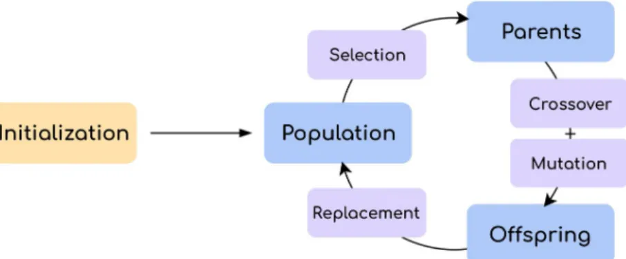 Fig 8. Overview of a genetic algorithm. Blue boxes represent sets of individuals. Purple boxes represent operations.