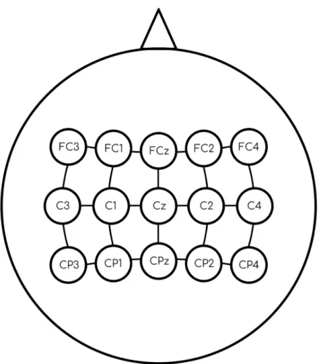 Fig 1. Electrodes used in the recording process. Placement of the 15 electrodes according to the extension of the International 10-20 system.