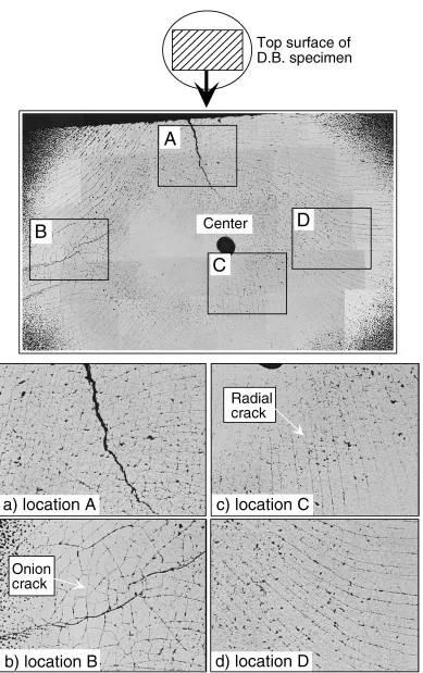Fig. 3Microstructures of the surface carbide layer for Direct D.B. specimen subjected to thermal shock test.
