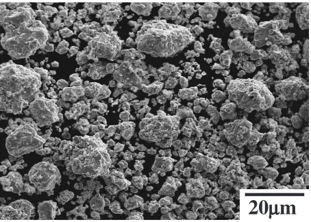 Fig. 2SEM image of the powder mechanically alloyed for 14.4 ks.