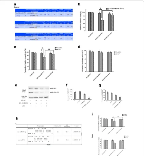 Fig. 4 Gm21284 acts as ceRNA to regulate expression of Lhx8 with miR-30e-3P. a The predicted target region of miRNAs on Lhx8 3′UTR