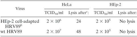 TABLE 1. Replication of a minor-group and a major-group virus in two cell linesa