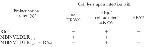 TABLE 4. Replication of single clones of HEp-2 cell-adaptedHRV89 in COS-7 cellsa