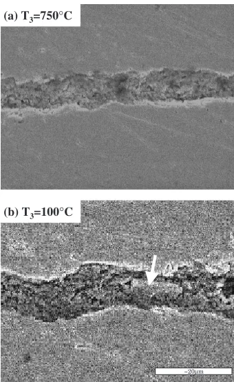Fig. 6SEM images of oxide cores in samples of T_ = (a) 5�C/min,(b) 0.5�C/min, and (c) 0.01�C/min with T3 ¼ 750�C.