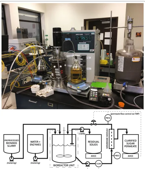 Fig. 5 Continuous EH experimental apparatus. The experimental apparatus (top) and process-flow diagram (bottom) for the continuous EH experiments