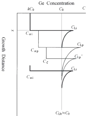 Fig. 8Illustration for the formation process of a group of peritectic �grains. (a) the solid-liquid interface at the onset of constitutionalsupercooling, (b) peritectic solidiﬁcation, (c) growth of � grains, and (d)cessation of � grain growth and growth of the second � phase.