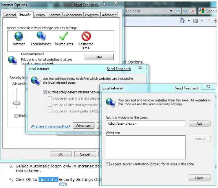 Figure A.2: Adding your domain to local intranet sites