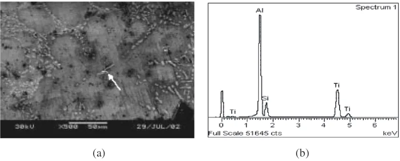 Fig. 4SEM image (a) and EDS analysis (b) of the nucleant in Al-based alloy with 3.0% silicon.