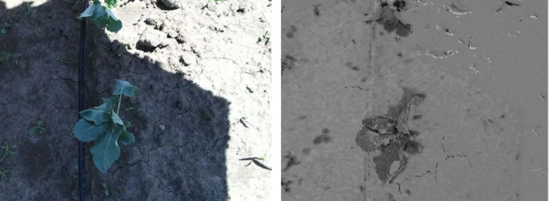 Figure 8: Sample illuminant-invariant map. In the left figure, the lighting conditions were  different between the shaded and unshaded areas