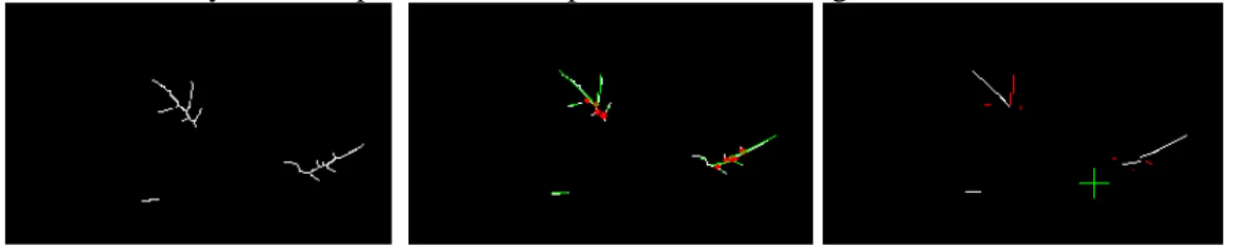 Figure 11. A run-time output example of stem localization. Left: the venation skeletons of the  lowest plant in Figure 10