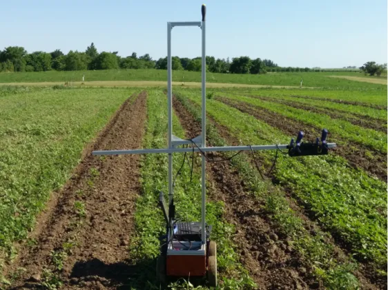Figure 3. The Kinect sensor was mounted at 0.75 m plus the estimated plant height above the  field surface and had a 1.05 m by 0.89 m field of view of the plants and soil below