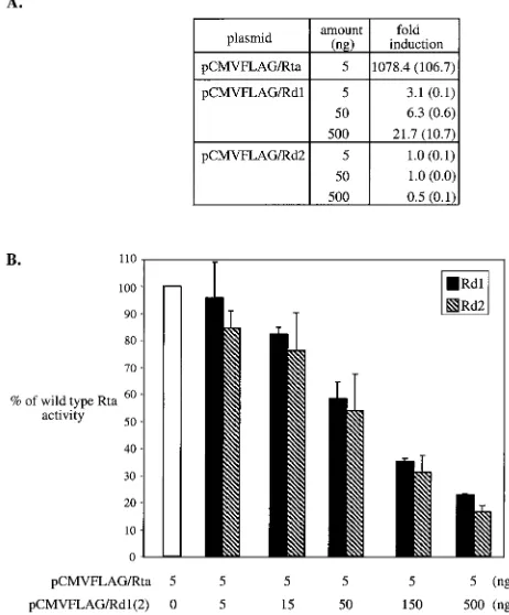 FIG. 3. Rd1 and Rd2 function as dominant-negative mutants ofRta in BHK-21 cells. The transfections described in the legend to Fig.
