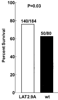 FIG. 5. Virulence of LAT2.9A in mice. Mice were ocularly infectedas described for Fig