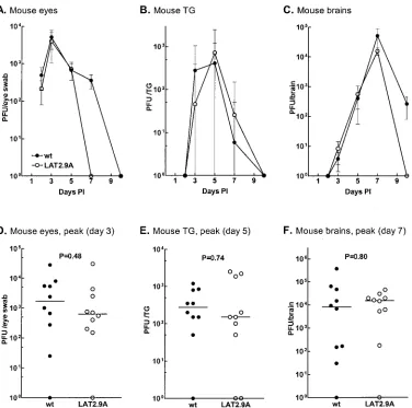 FIG. 7. Virulence of dby the chi-square test.and survival was determined as described for Fig