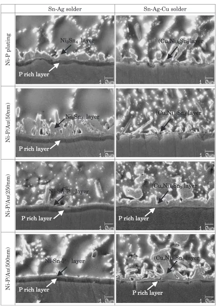 Fig. 3SEM images of Sn-Ag solder and Sn-Ag-Cu solder using various thicknesses of Au plating.