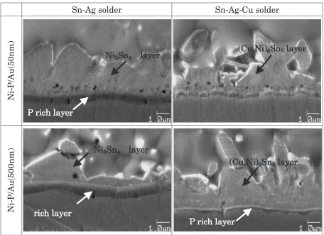 Fig. 5TEM image of the Sn-Ag solder joint with 500 nm Au coating.