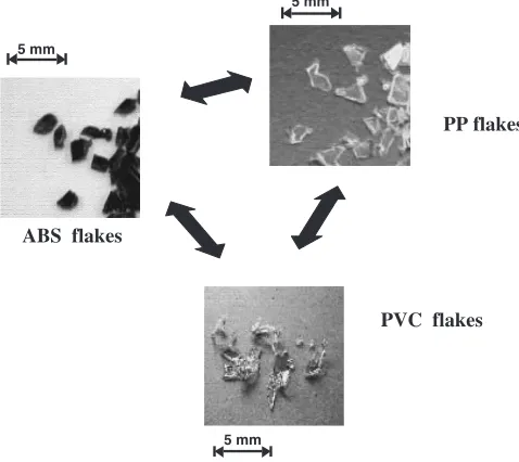 Fig. 1Plastics of the three-component artiﬁcial mixture.