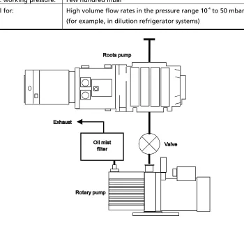 Figure 4  Roots pump system