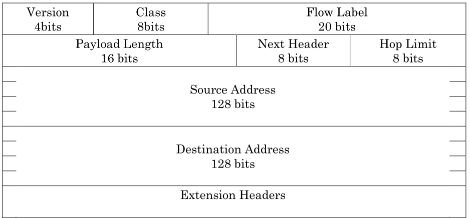 Figure 2: Removed fields from IPv4 Header 