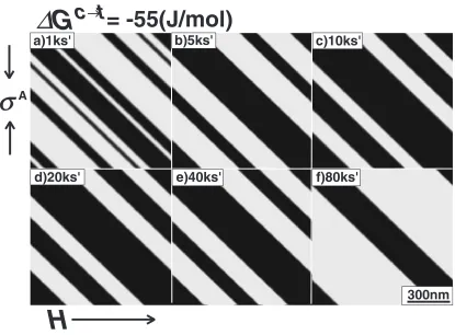 Fig. 4Twin microstructure changes under external stress and magnetic ﬁelds. In the case of the chemical driving force �Gc!tc¼ �40(J/mol).