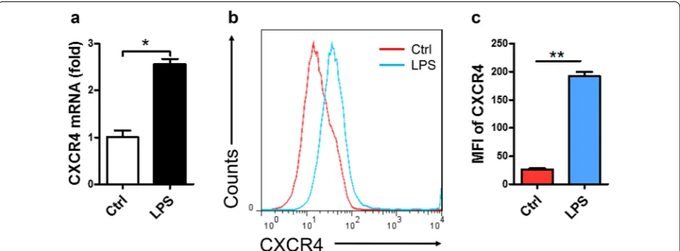 Fig. 2 The expression of CXCR4 was detected in macrophage cell line RAW264.7. cell line RAW264.7