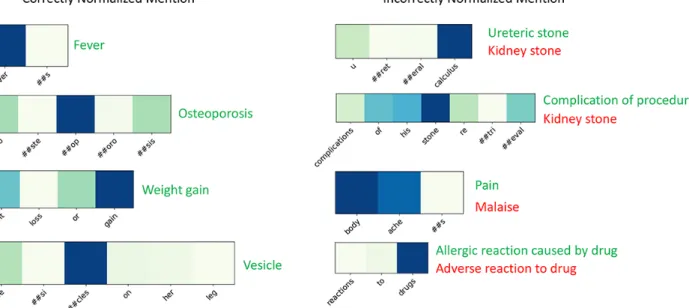 Figure 3.  A case study. The left column shows examples where EhrBERT gave valid predictions