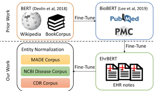 Figure 1.  Overview of this paper's methods. Bidirectional encoder representations from transformers (BERT) [11] was trained on Wikipedia text and the BookCorpus dataset