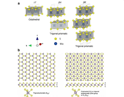 Fig. 8 abCommons Attribution 4.0 License ( The structure difference between 1 T, 2H and 3R [163]